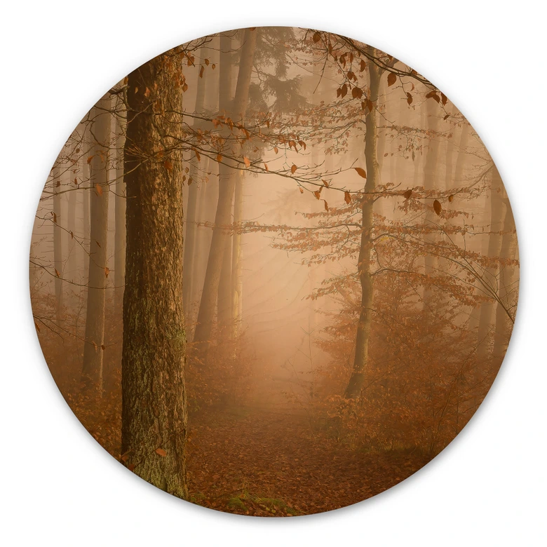 Holzbild Dunst und Licht im herbstlichen Wald - Maier - Rund 