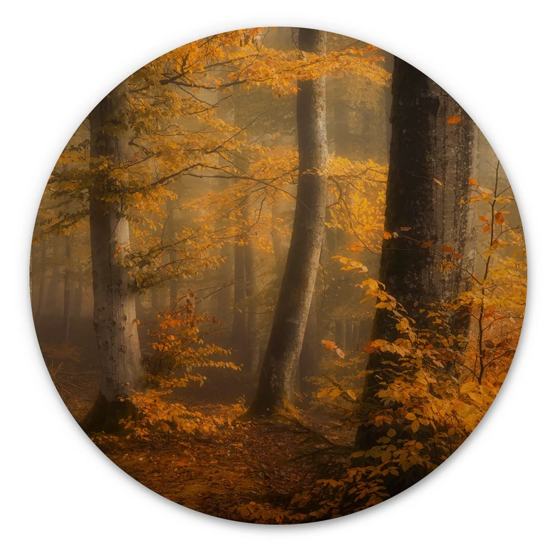 Holzbild Goldene Blätter im nebligen Wald - Maier - Rund 