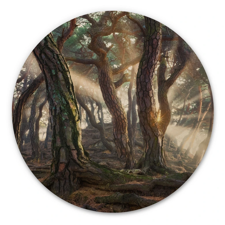 Holzbild Heiliger Kiefernwald - Ryu - Rund 