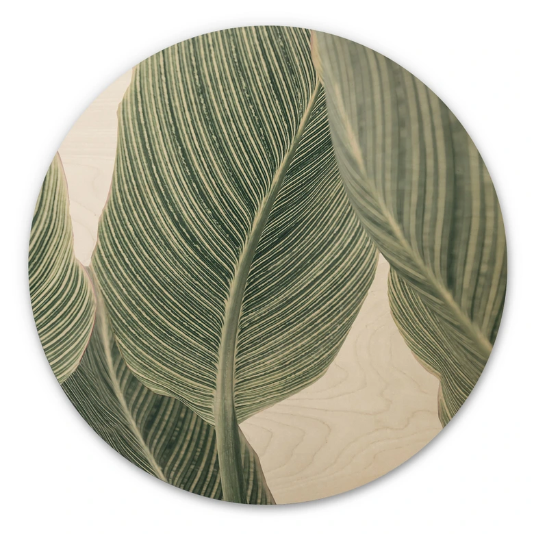 Trätavla Calathea växt - Sisi & Seb - Rund 