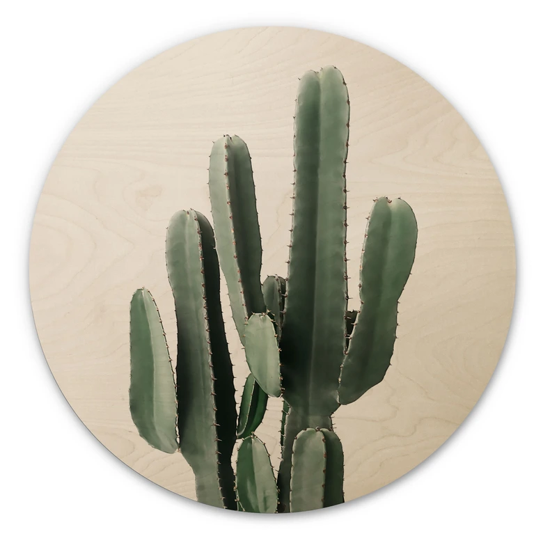 Wandcirkel Hout Cactusplant - Sisi & Seb 