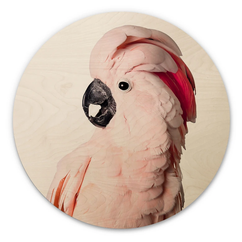 Obraz drewniany Sisi & Seb - Różowy kakadu - Okrągły 