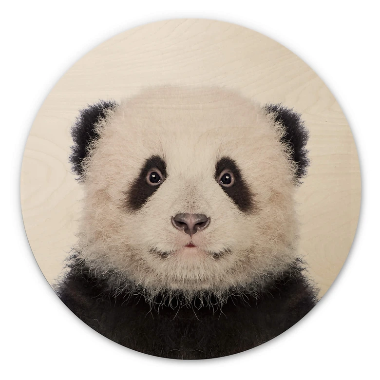 Holzbild Sisi & Seb - Baby Panda - Rund 