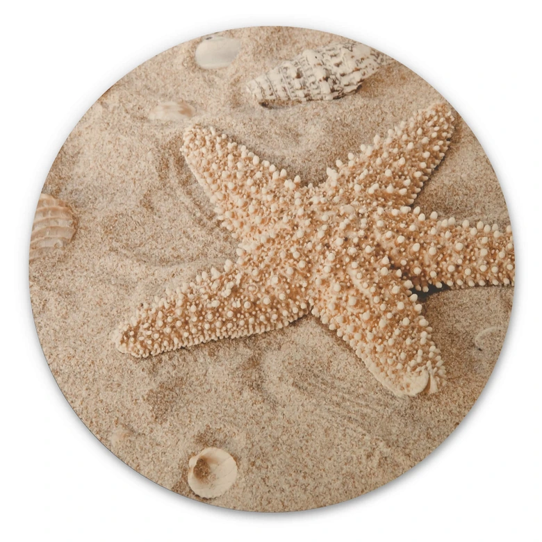 Holzbild Sternfisch im goldenen Strand - Rund 