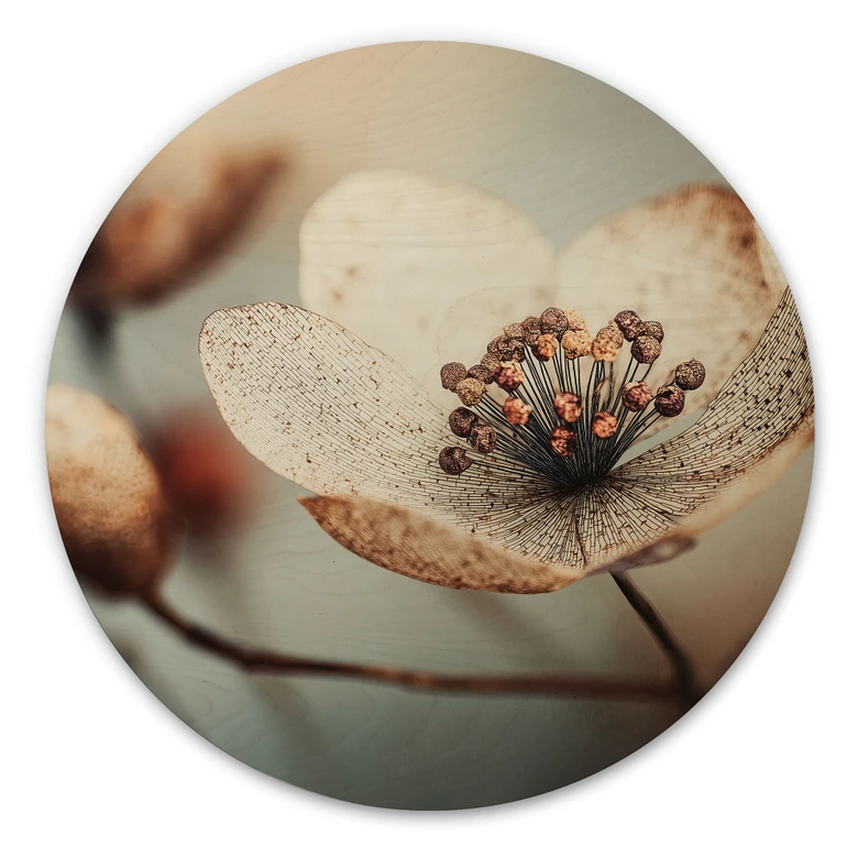 Wood Print Boho dried flower macro - Treechild - Round 