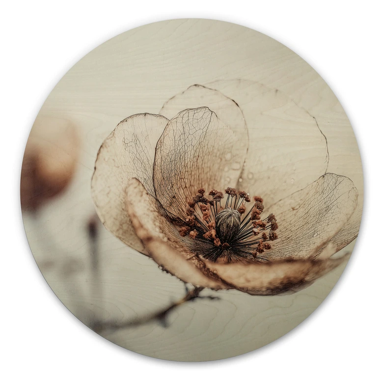 Holzbild Trockenblüte Beige Naturpoesie - Treechild - Rund 