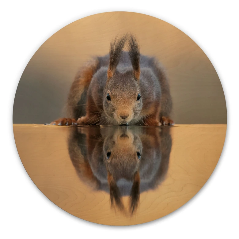 Stampa su legno di scoiattolo vicino all'acqua - van Duijn - Tondo  