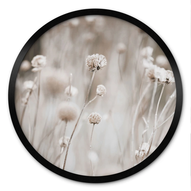 Poster Torkade blommor i mjuka färger - Annie - Rund 