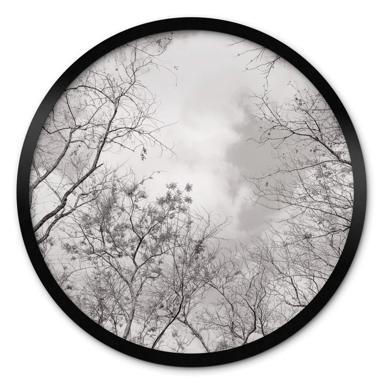 Poster Baumkronen im Himmel - Rund 