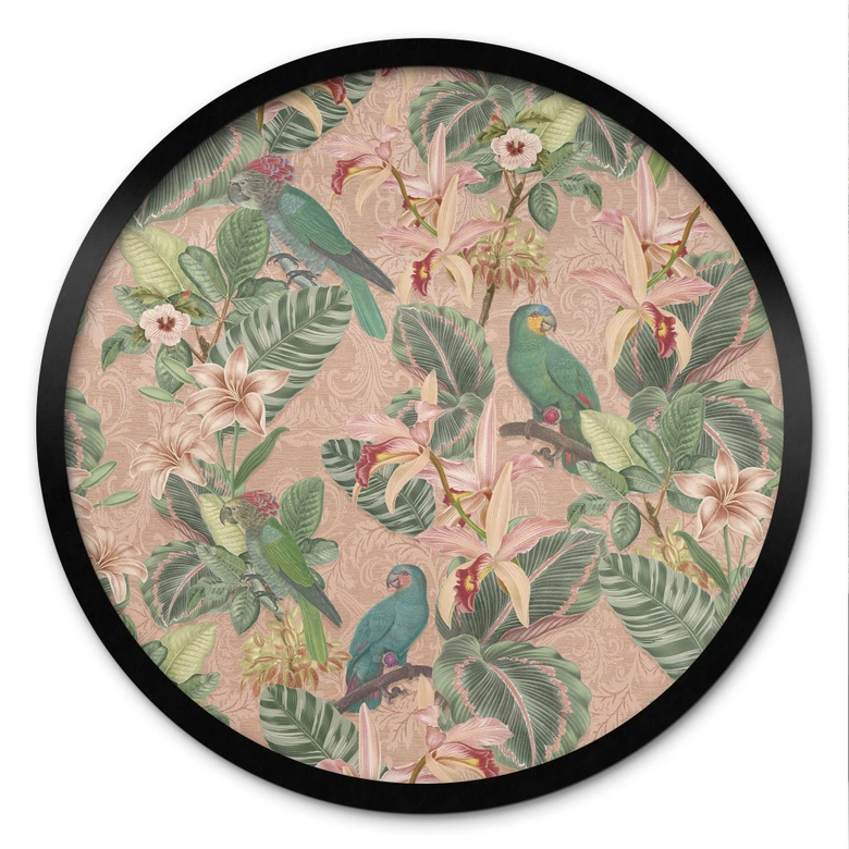 Poster Dschungel mit Papageien Rosa - Bloomery Decor - Rund 