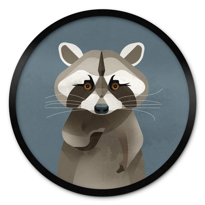 Poster Waschbär - Rund - Braun 