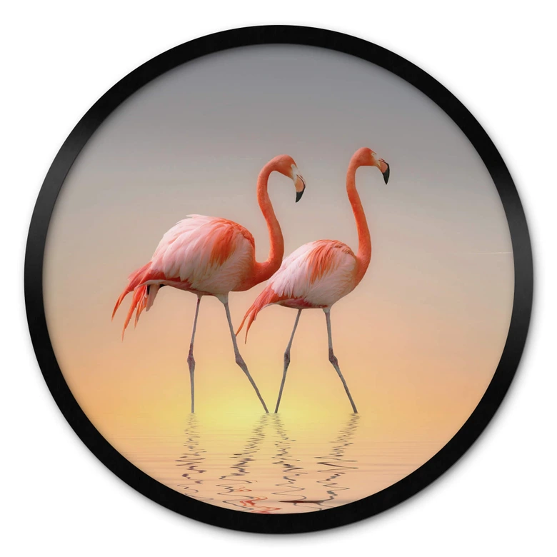 Poster Cseresnjes - Flamingos i kvällsljus - Rund 