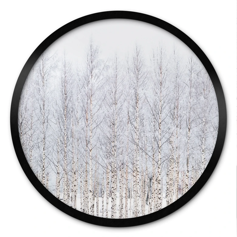 Poster Birkenwald im Winter - EMELIEmaria - Rund 