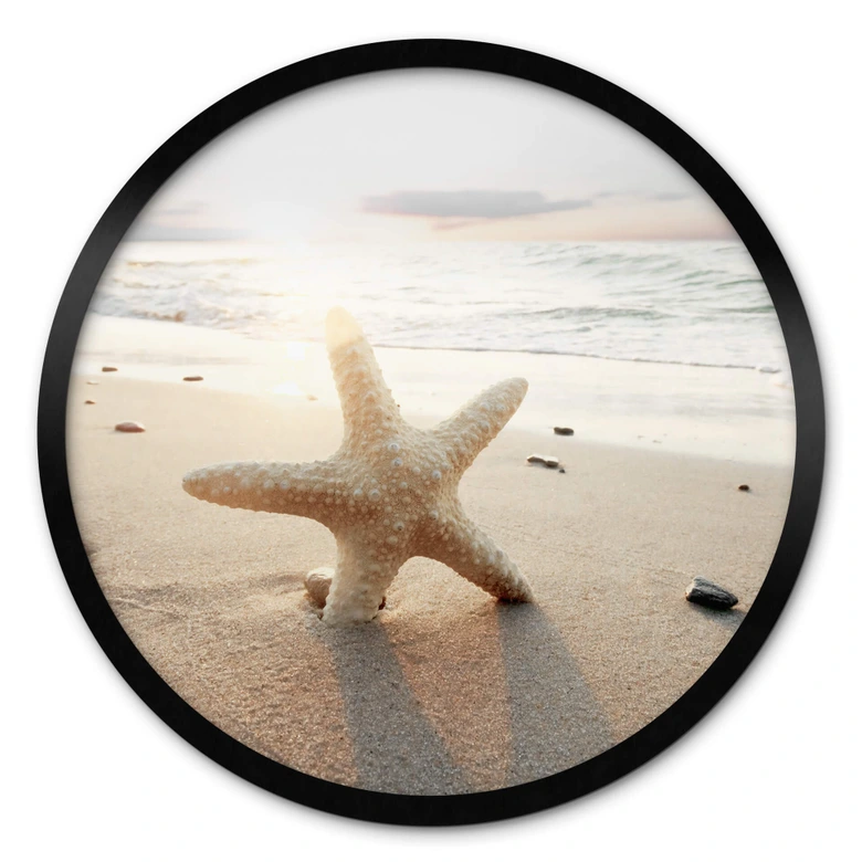Poster Funkelnder Seestern am einsamen Strand - Rund 