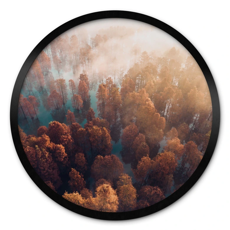 Poster Rund Herbstwald im Nebel - Ioricon - Rund 