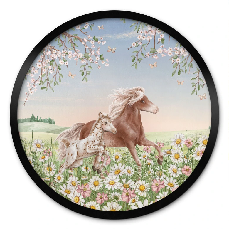 Póster Caballos en el prado de flores - Kikki Belle - Redondo 