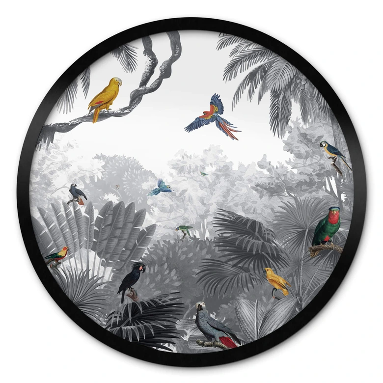 Poster Kikki Belle - Tropische Vogels in het zwart wit 