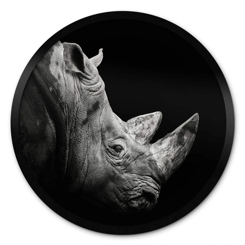 Plakat Meermann - Rhino 
