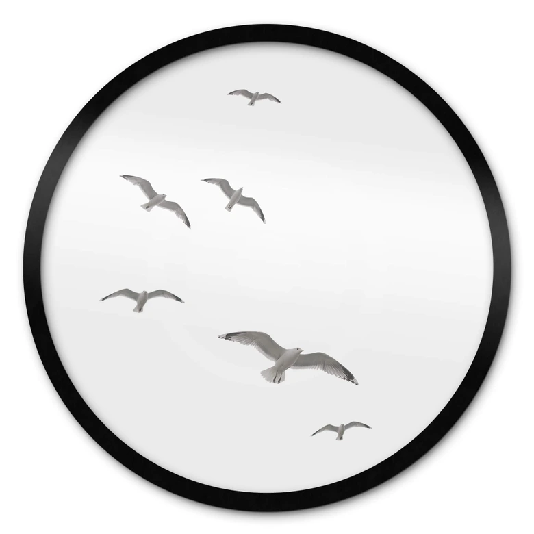 Plakat Mewy na niebie - okrągły 