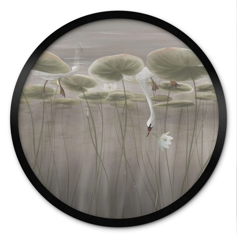 Poster Lotusblumen mit Schwan im Wasser in Grau - Ms Tiff - Rund 