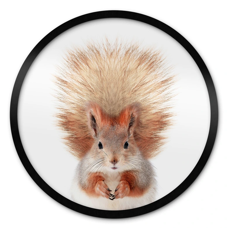Poster Kleines Eichhörnchen - Sisi & Seb - Rund 