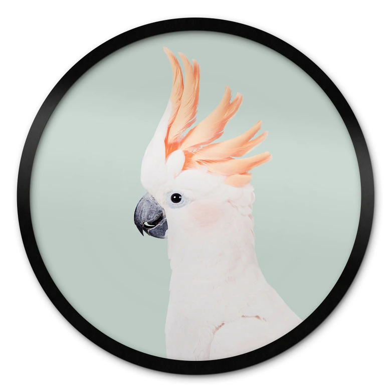 Poster djurporträtt rosa kakadua - Sisi & Seb - Rund 