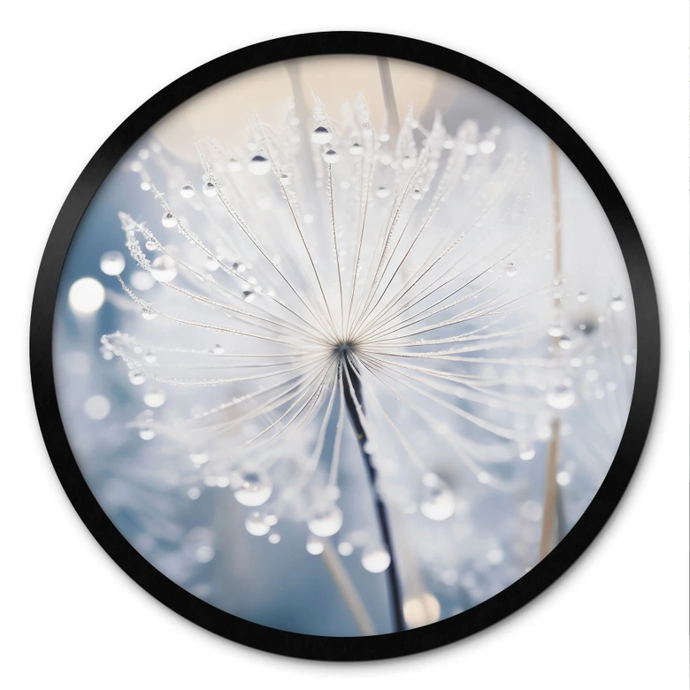 Poster Funkelnde Pusteblumen - Treechild - Rund 