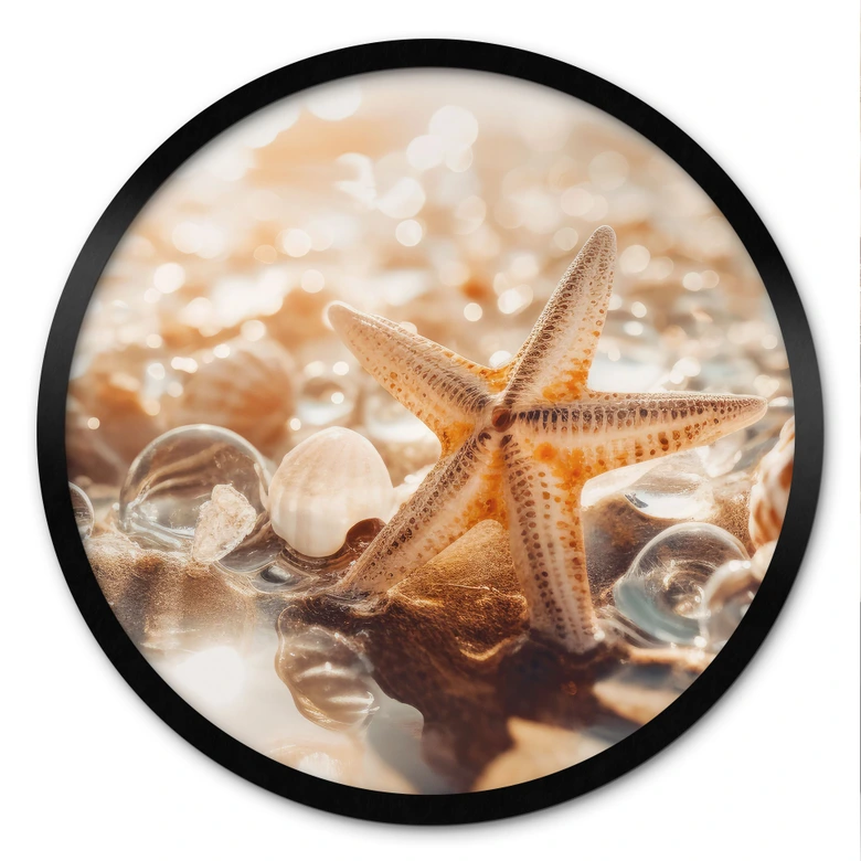 Poster Muscheln am sonnigen Strand - Treechild - Rund 