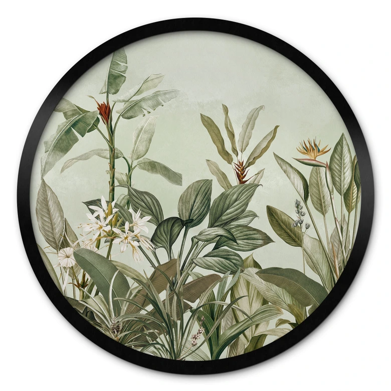 Poster Tropische Botanik - UN Designs - Rund 