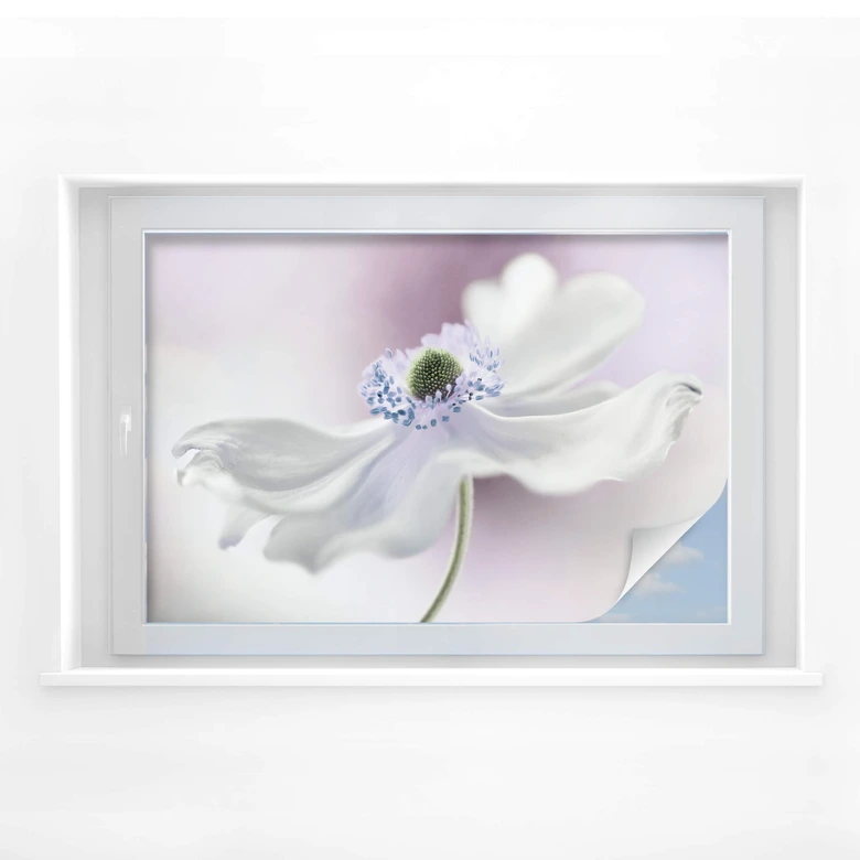 Raamfolie Disher - Anemone Breeze 