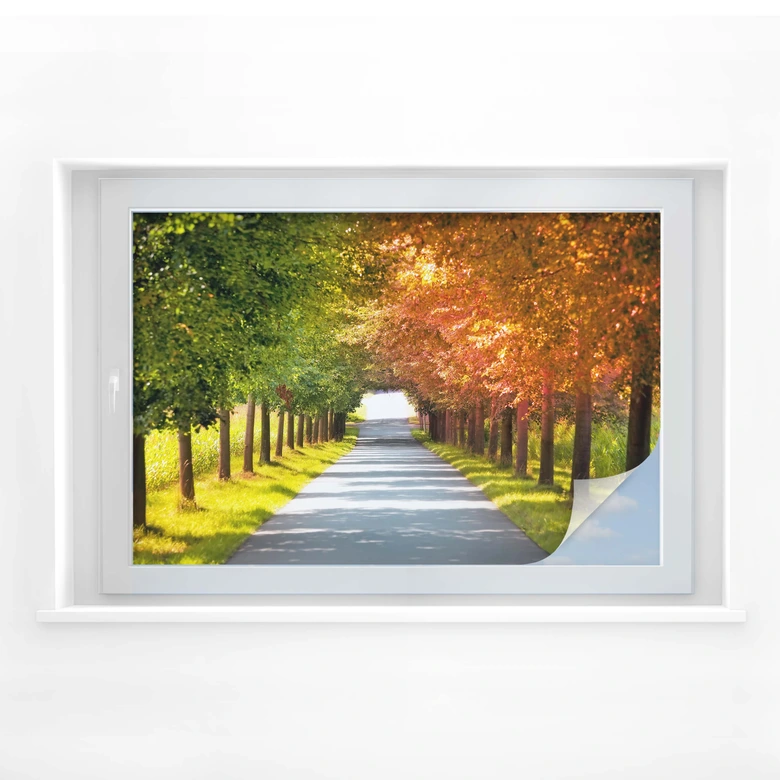 Jesienny film o prywatności 