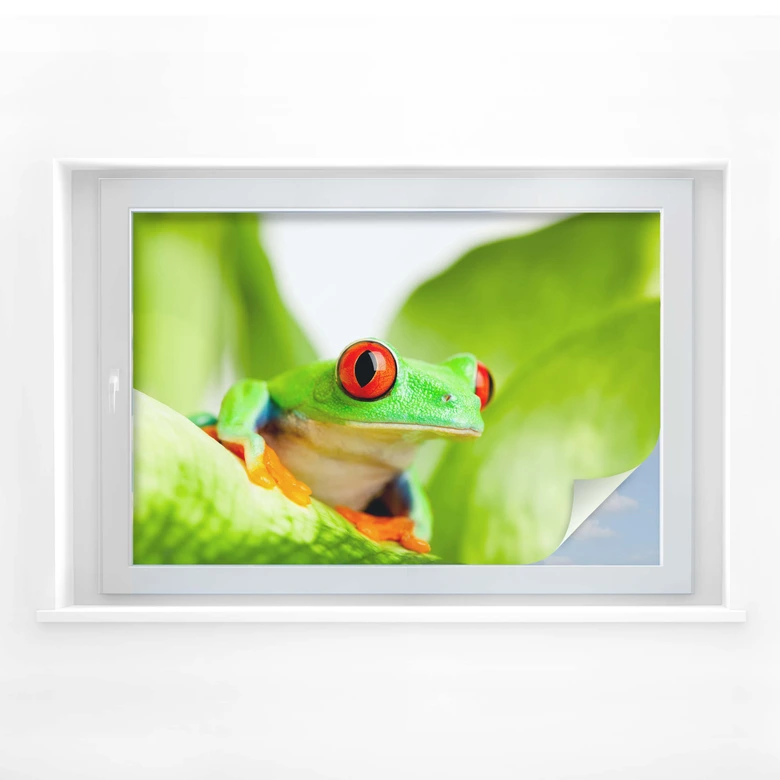 Film o prywatności wyskakująca żaba 