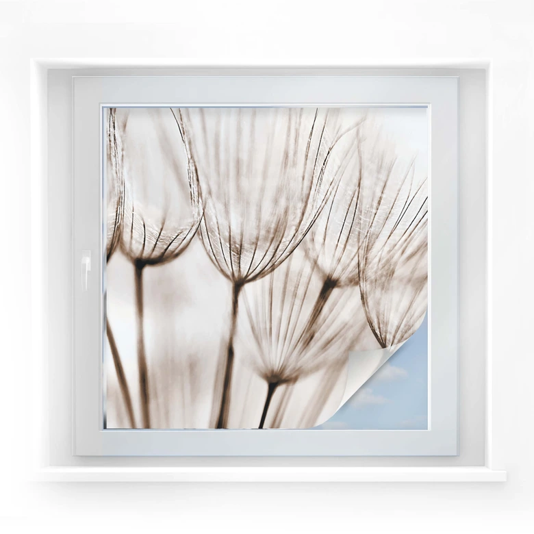 Window foil Make a Wish 