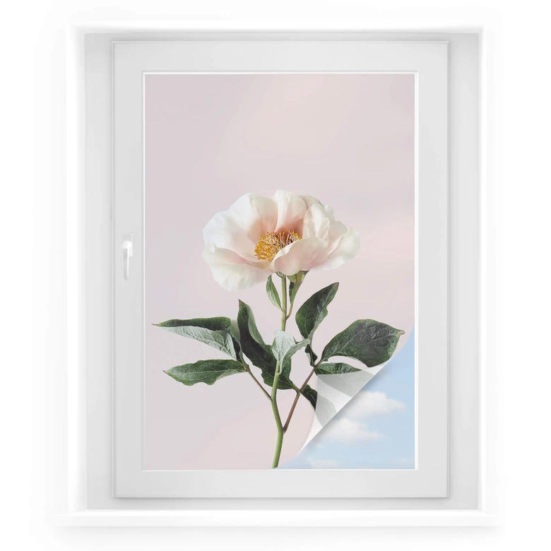 Raamsticker Sisi & Seb - Delicate Flower 