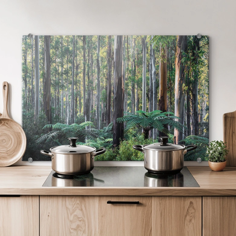 Stænkplade eukalyptusskov i Yarra Ranges - Colombo 