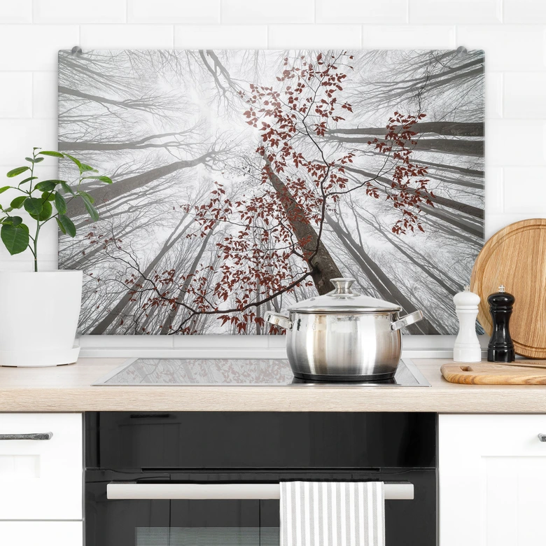 Spritzschutz Baumkronen mit roten Blättern - Coman 