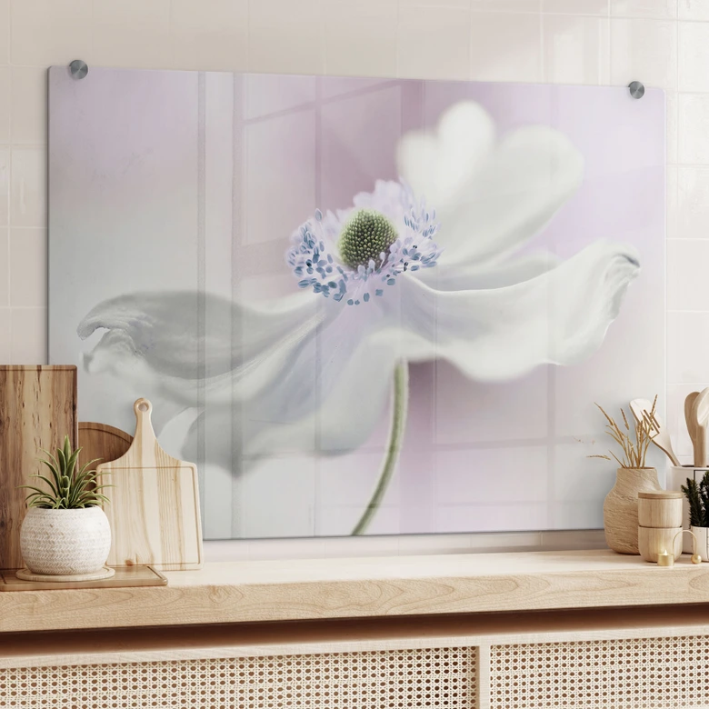 Spritzschutz Disher - Anemone Breeze 