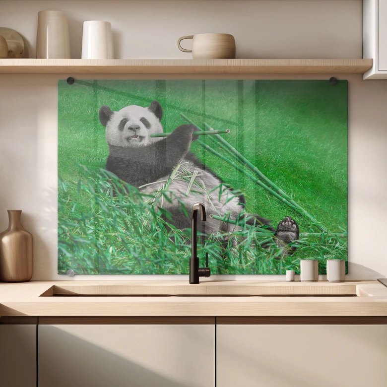 Spritzschutz Ben Heine - Glücklicher Panda 