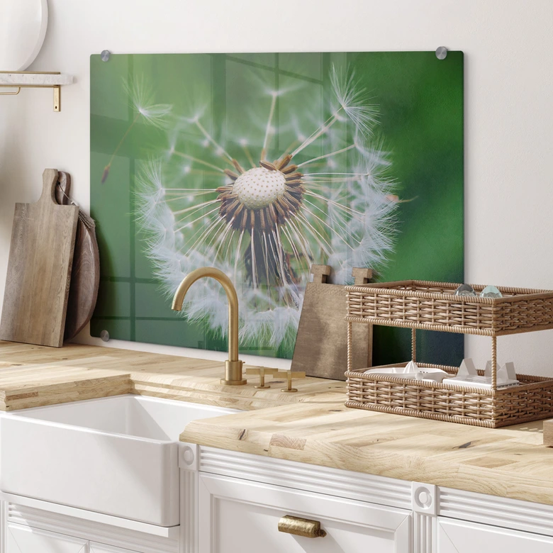 Spritzschutz Pusteblume im Wind 