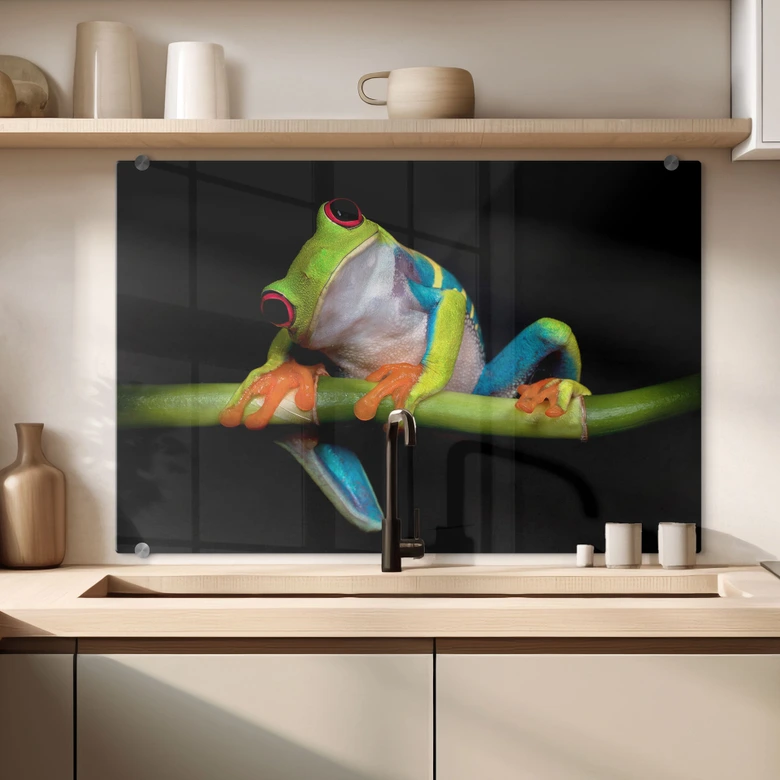 Spritzschutz Valverde - Green Frog 