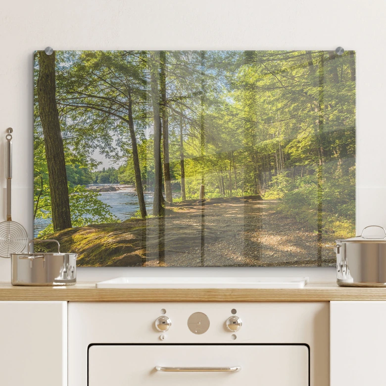 Spritzschutz Waldweg am Fluss 