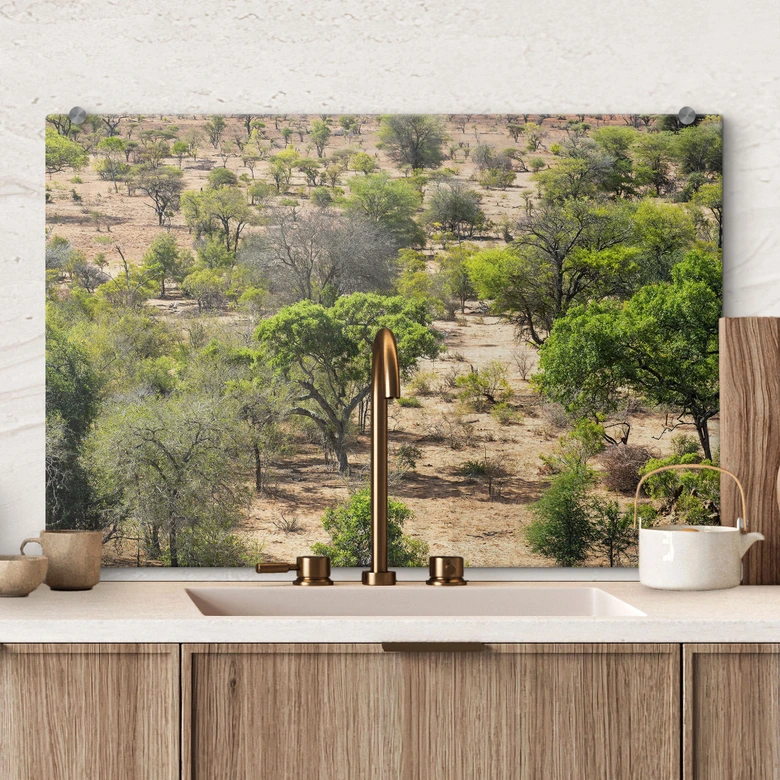 Spritzschutz Savannenlandschaft in Afrika - Hugonnard 