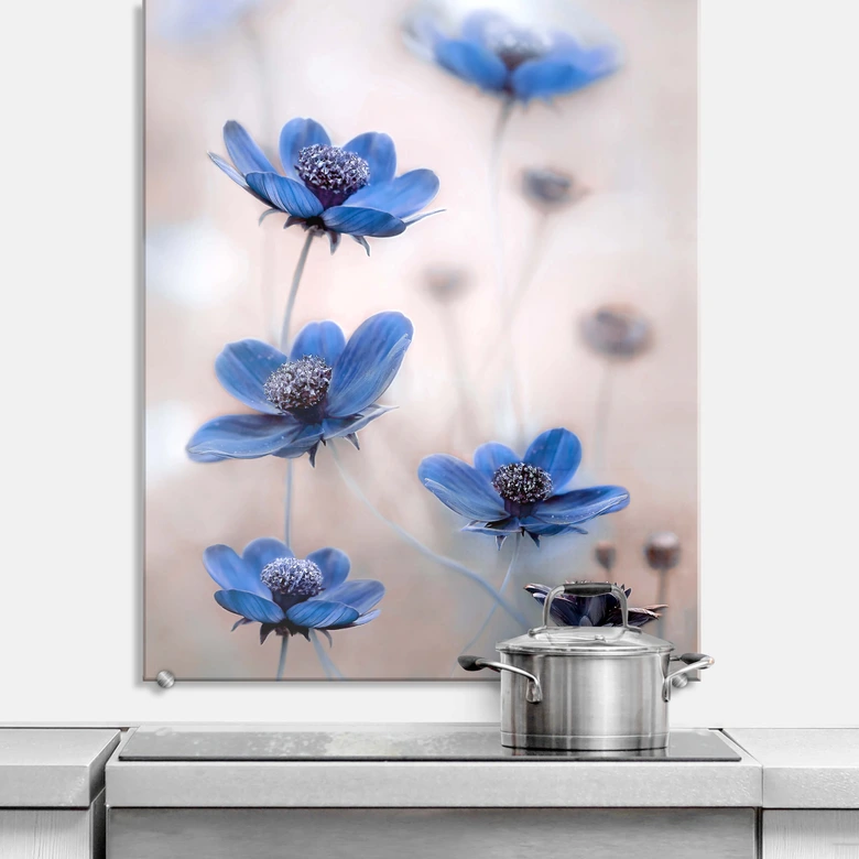 Spatscherm - Disher - Blue Cosmos 