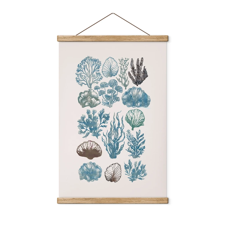 Stoffbild Filigrane Algen und Muscheln - casa cartissi 