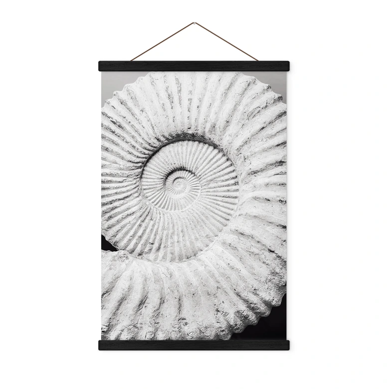Textil poster Fossil snäcka - Fotograferad av Clint 