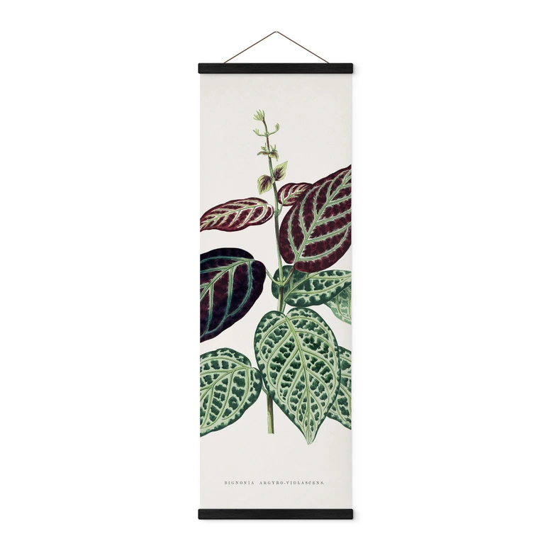 Stoffbild Blatt Illustration - Bignonia Argyro Violascea - Panorama 