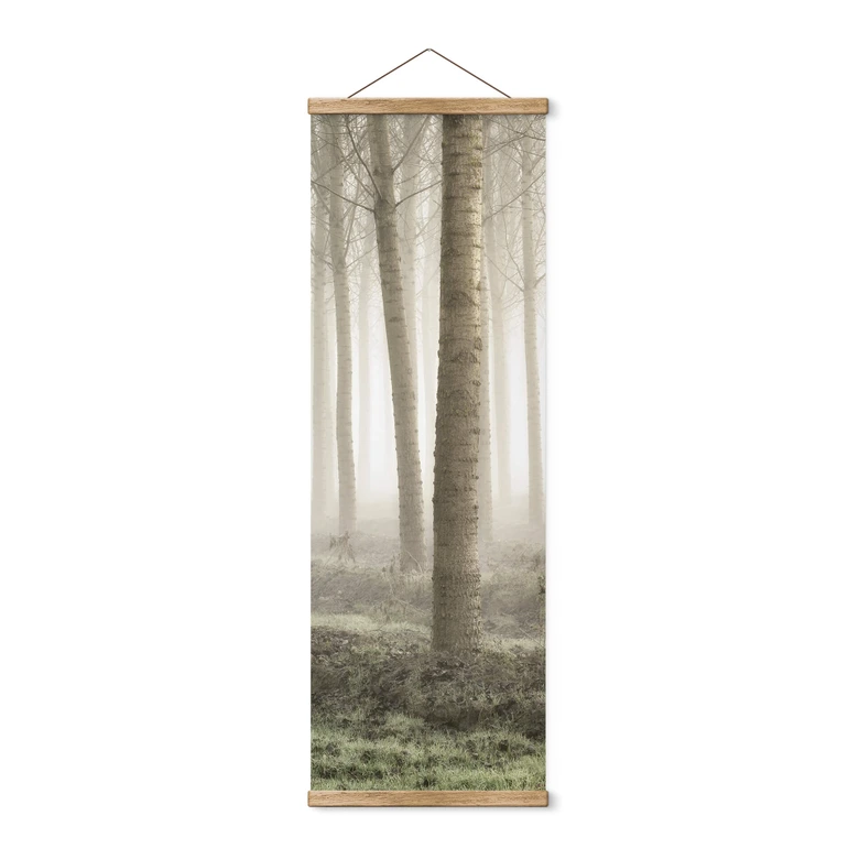Stoffbild Carozzi - Märchenhafter Wald im Morgennebel - Panorama 