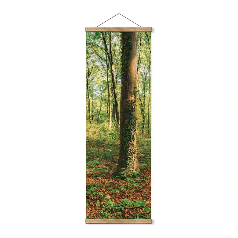 Textil poster Djupt inne i skogen - Panorama 