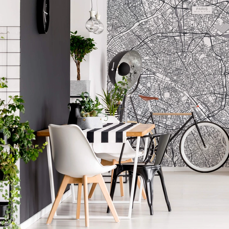 Wall Mural Map of Paris 