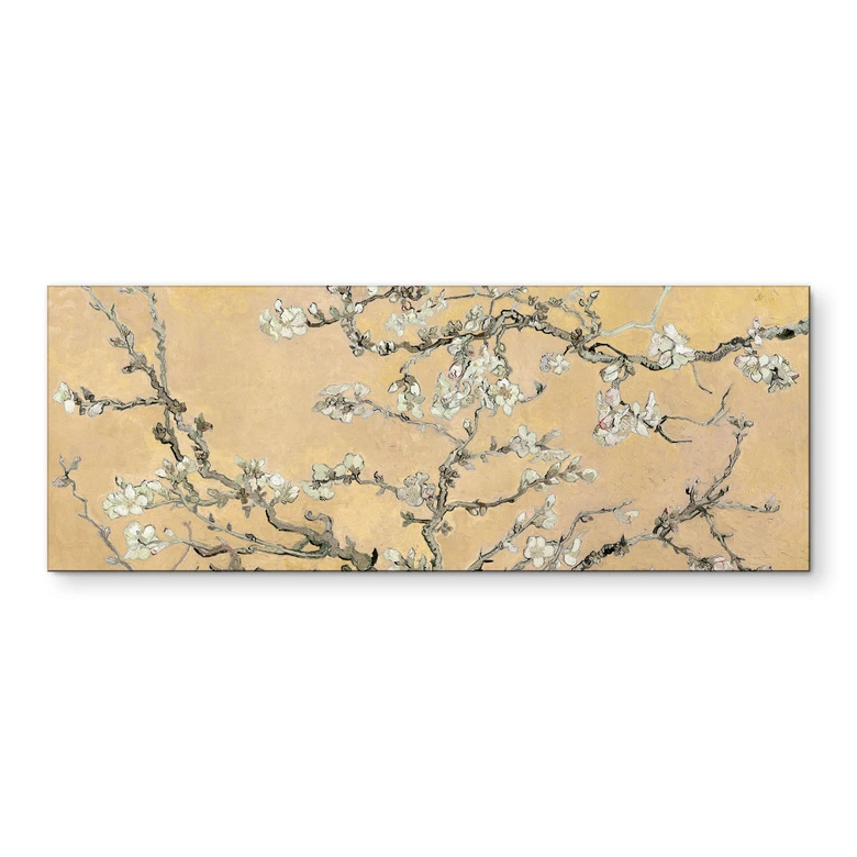 Wandbild van Gogh - Mandelblüte - creme - Panorama - Alu-Dibond 